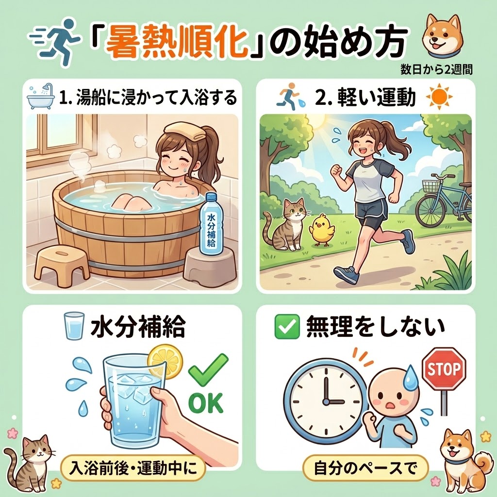 暑さに負けない体をつくる「暑熱順化」